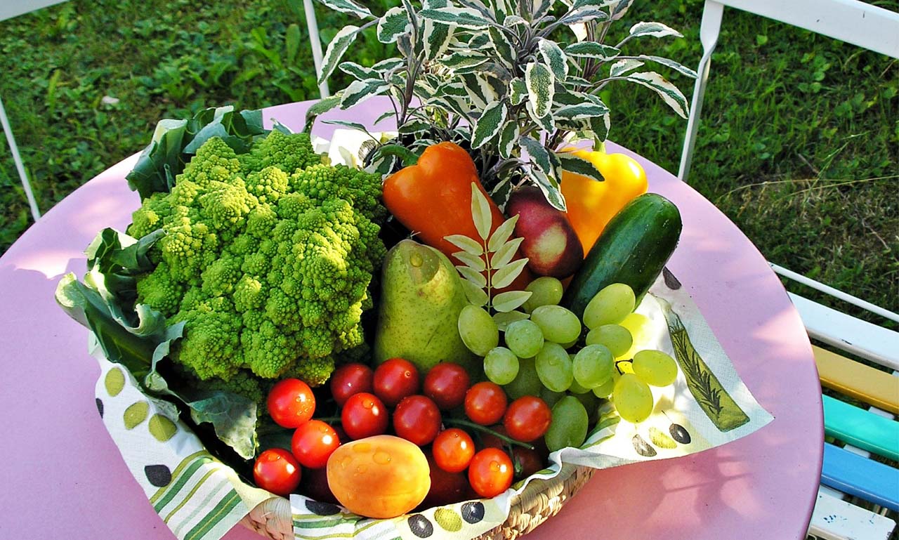 在线教育平台的ddos攻击测试工具