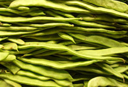 【免费版】无限制的ddos攻击测试工具