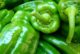 【专业破解版】免费下载的免费DDOS攻击测试工具